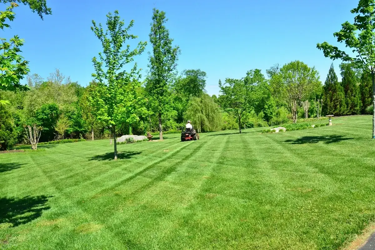 Well-kept commercial lawn and grounds